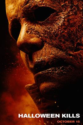 清水河软件网站优化